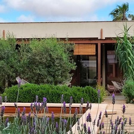 Idayvuelta Home & Suites With Private Pool 塞萨利内斯 外观 照片